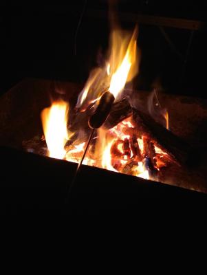 Прикрепленное изображение: IMG_20200403_215106_resize_60.jpg